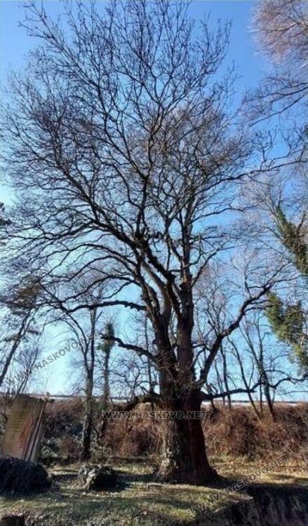 снимка: РИОСВ-Хасково