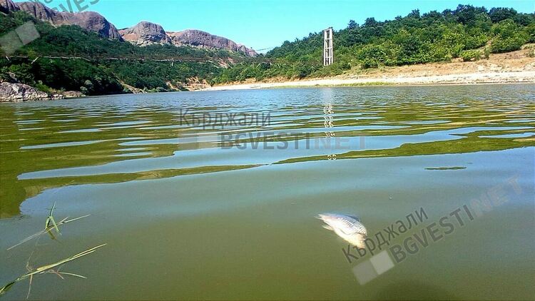 Окончателно:РИОСВ-Хасково оневини „Теклас” и „Яйцепром” за умрялата риба във Върбица