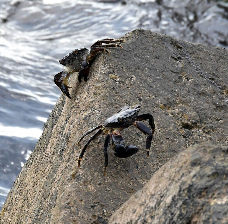 Жегата се завръща с облачен следобед