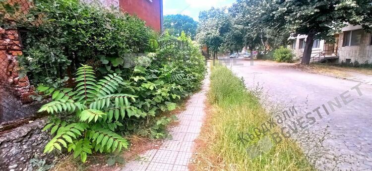 Граждани негодуват от лошото състояние на тротоарите по „Язовирска”,  почистващата фирма ги призовава да си ги оправят