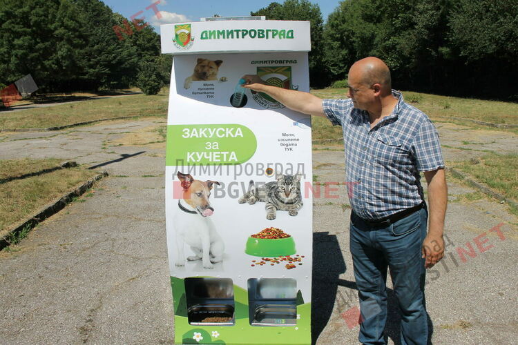 В Димитровград храним кучетата чрез рециклиране на пластмасови бутилки