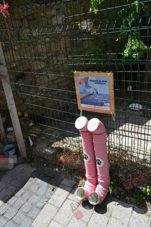 В Димитровград храним кучетата чрез рециклиране на пластмасови бутилки