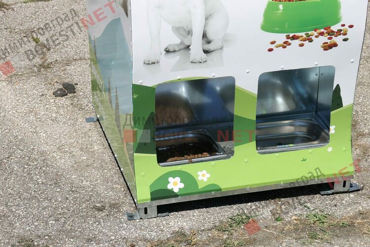 В Димитровград храним кучетата чрез рециклиране на пластмасови бутилки