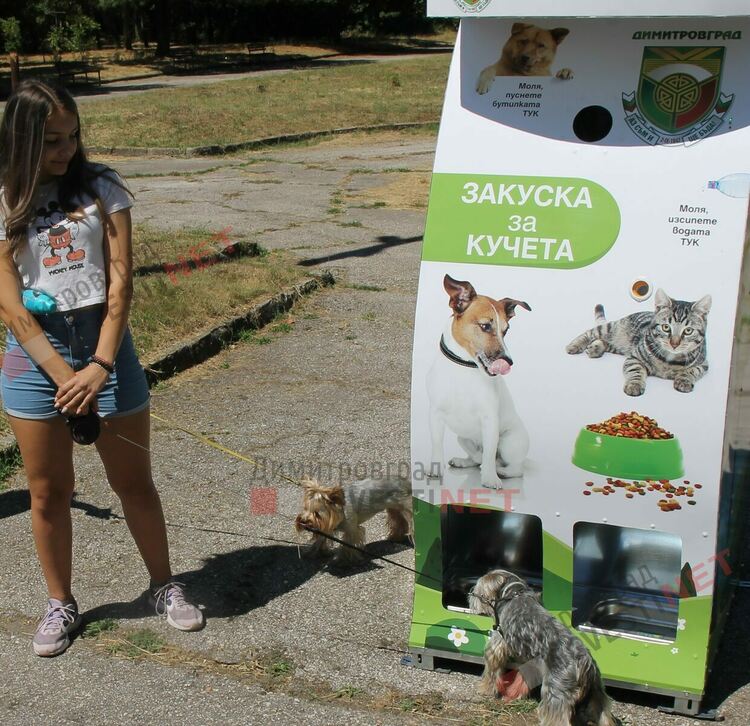 В Димитровград храним кучетата чрез рециклиране на пластмасови бутилки