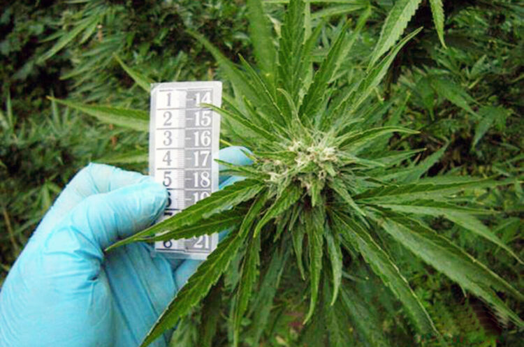 Снимката е илюстративна