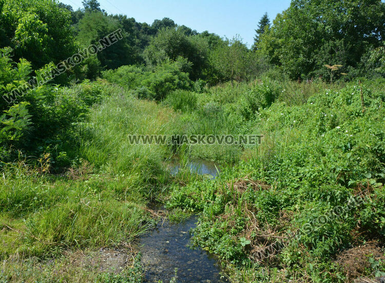 В Книжовник се жалват от затлачено корито на реката, чистят го другата седмица