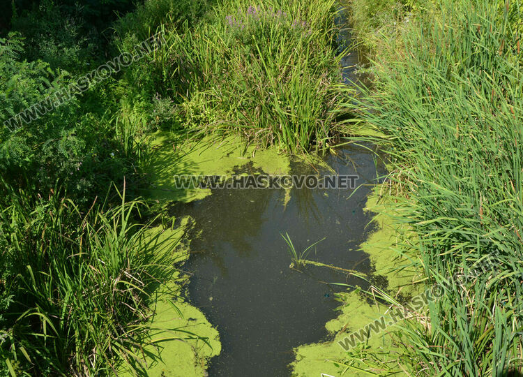 В Книжовник се жалват от затлачено корито на реката, чистят го другата седмица