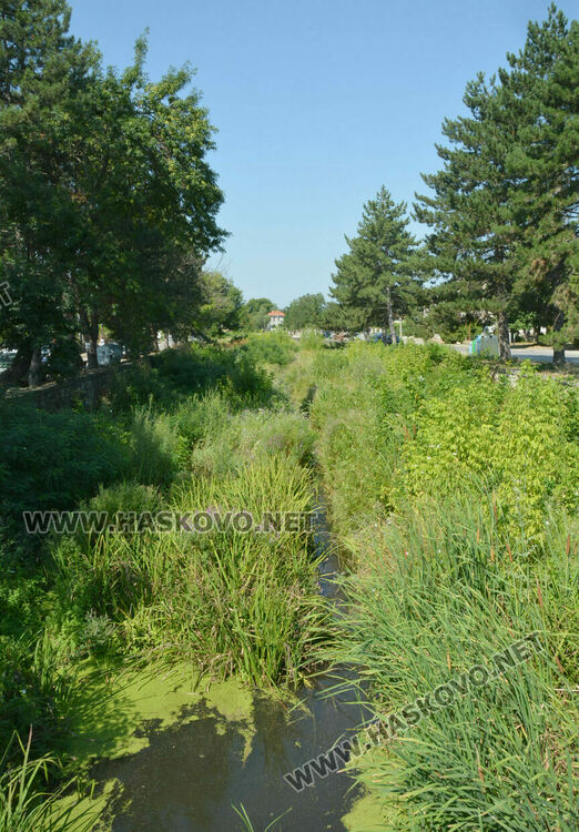 В Книжовник се жалват от затлачено корито на реката, чистят го другата седмица
