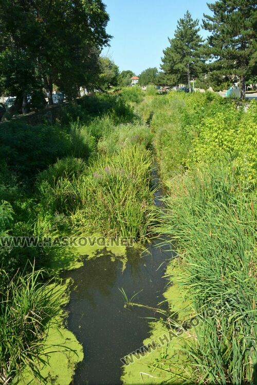 В Книжовник се жалват от затлачено корито на реката, чистят го другата седмица