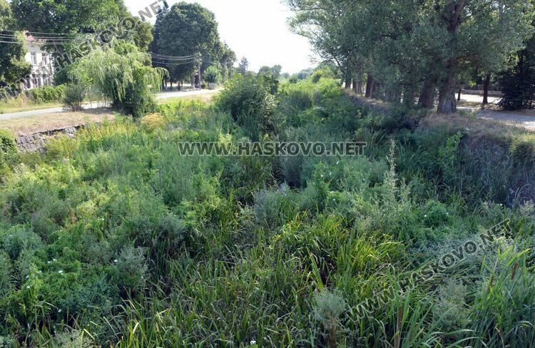 В Книжовник се жалват от затлачено корито на реката, чистят го другата седмица