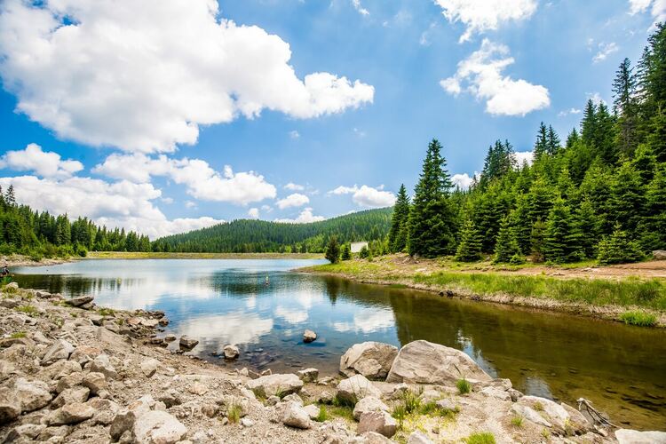 Климатолечение, горска терапия и активности на открито през летния сезон в Пампорово 