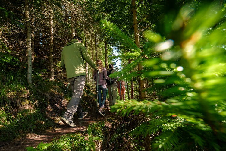 Климатолечение, горска терапия и активности на открито през летния сезон в Пампорово 
