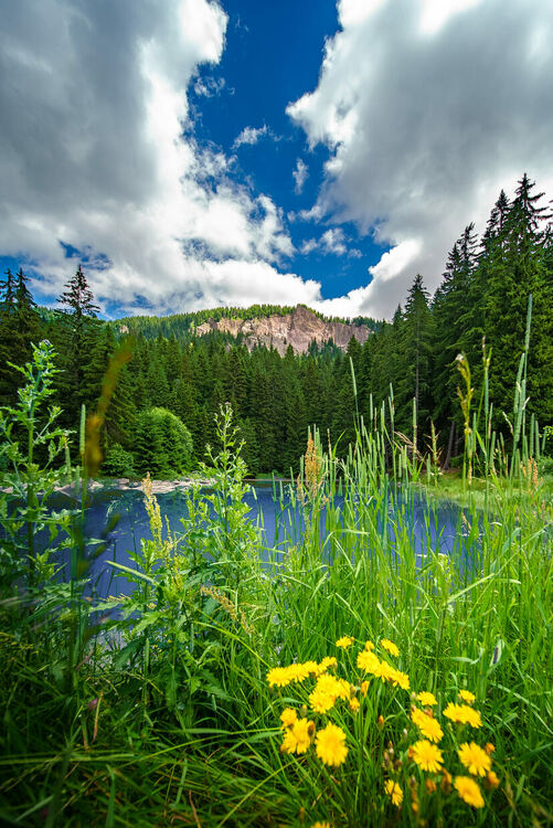 Климатолечение, горска терапия и активности на открито през летния сезон в Пампорово 