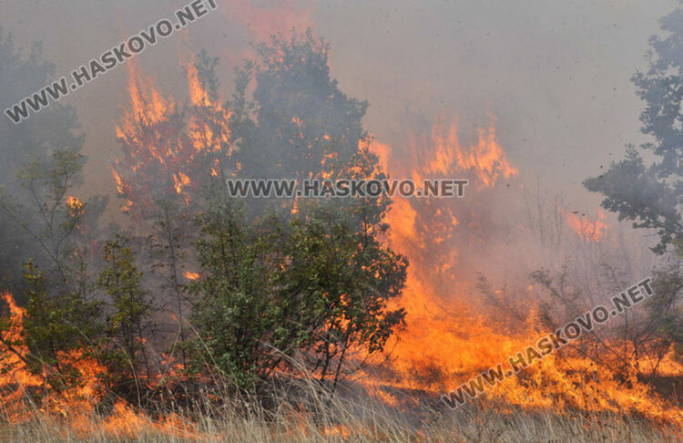 Пожарникар пострада при гасенето на гора