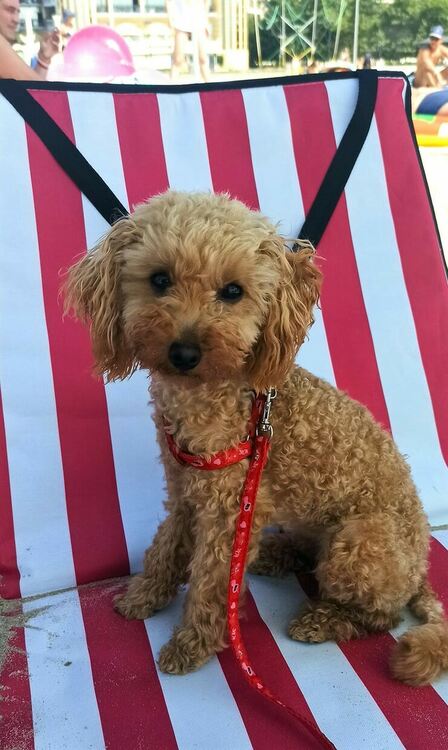 Облаци, слънце и краткотраен дъжд в понеделник