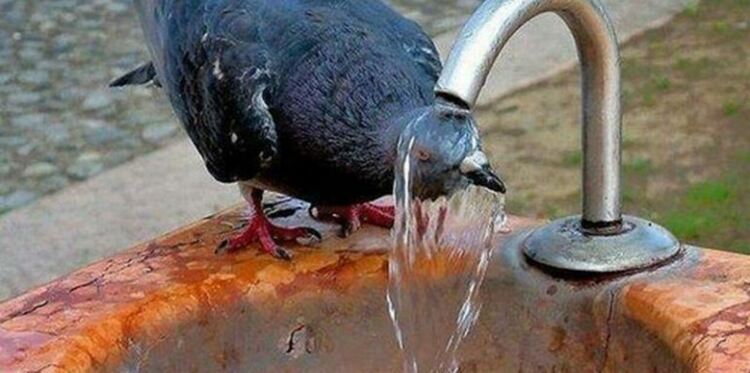 Жегата с малко надолу за ден