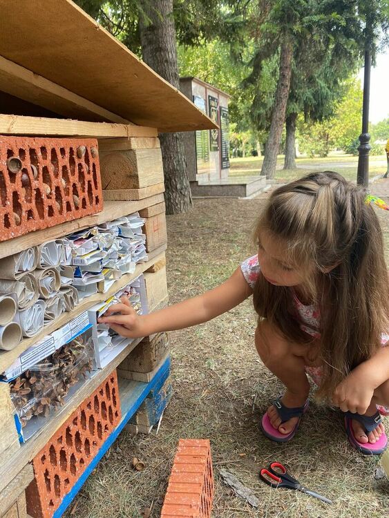 В Димитровград изградиха хотел за насекоми