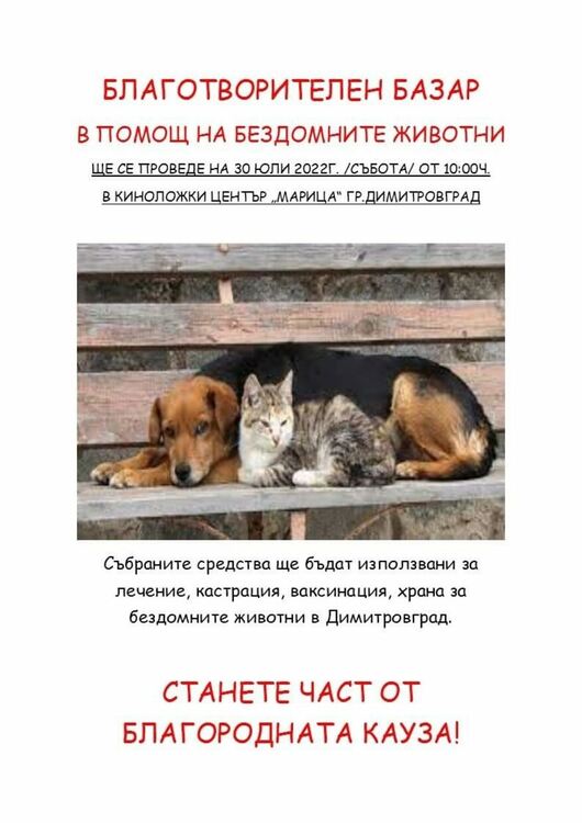 Благотворителен базар в помощ на бездомните животни на Димитровград 