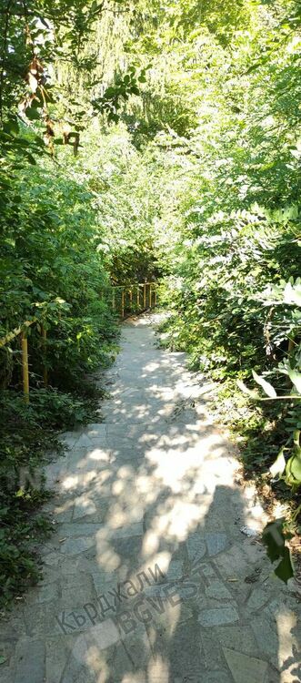 Стълбищата към тубдиспансера обраснаха с храсти, преминаването затруднено