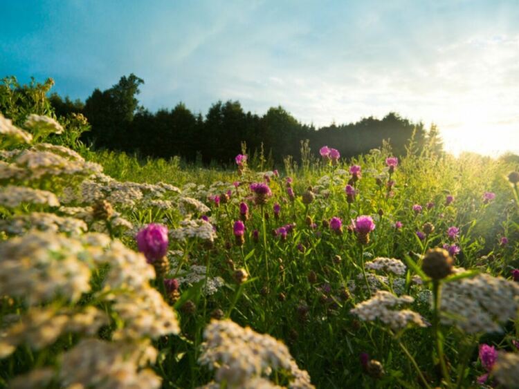 Топло време и в четвъртък