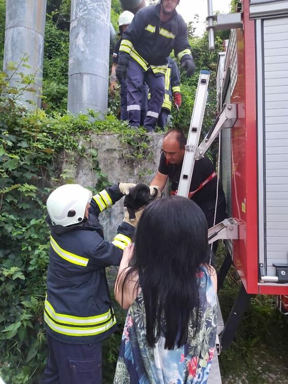 снимката е илюстративна /архив/