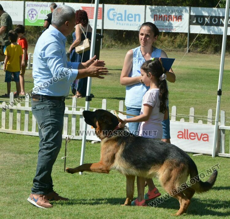 Четириноги красавци от 10 породи на парад в парк „Марица“