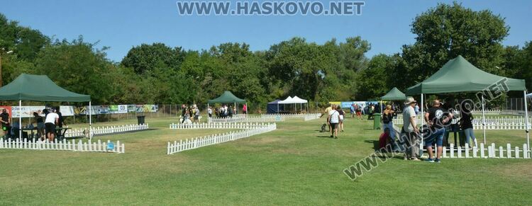 Четириноги красавци от 10 породи на парад в парк „Марица“