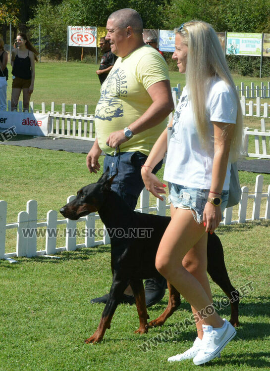 Четириноги красавци от 10 породи на парад в парк „Марица“