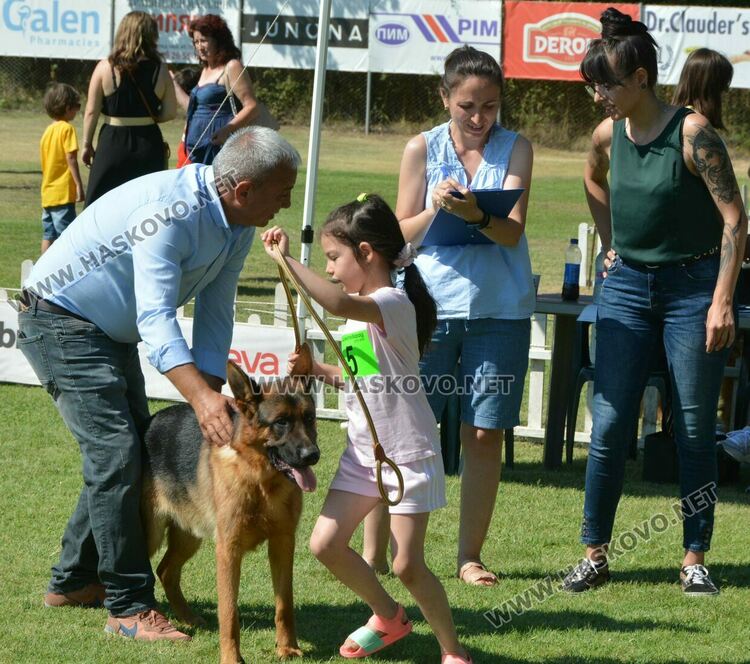 Четириноги красавци от 10 породи на парад в парк „Марица“