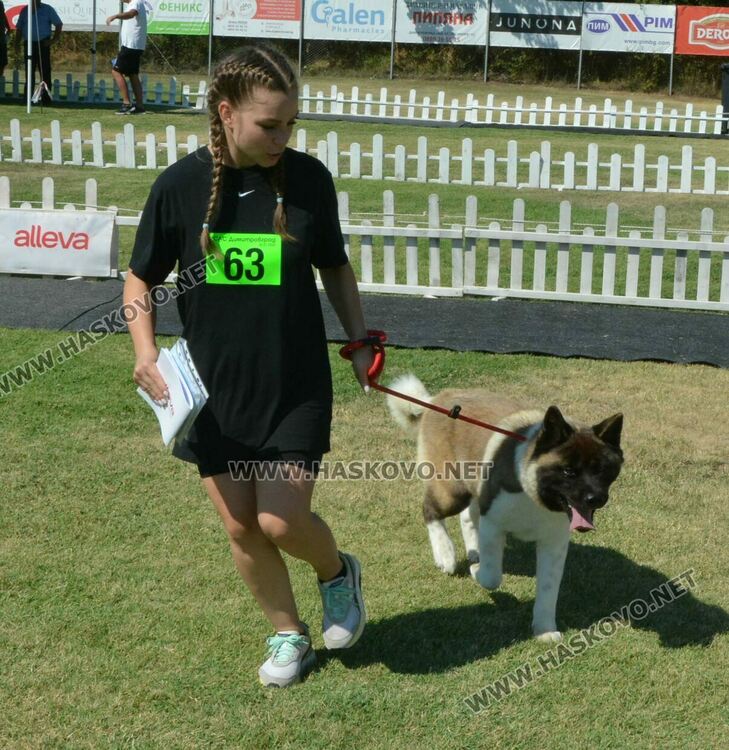 Четириноги красавци от 10 породи на парад в парк „Марица“