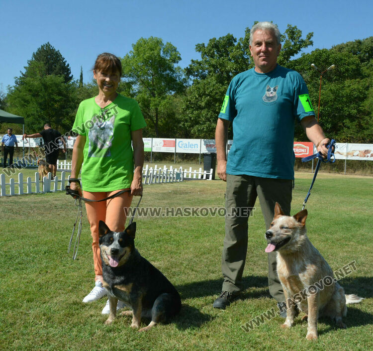Четириноги красавци от 10 породи на парад в парк „Марица“