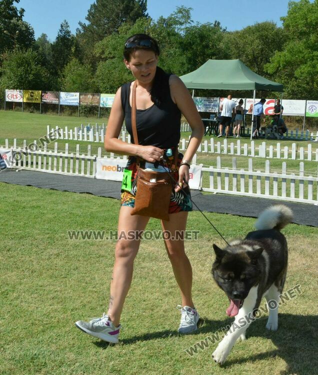 Четириноги красавци от 10 породи на парад в парк „Марица“