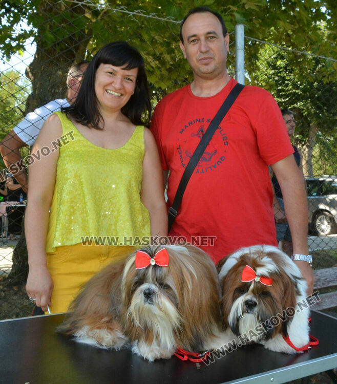 Четириноги красавци от 10 породи на парад в парк „Марица“