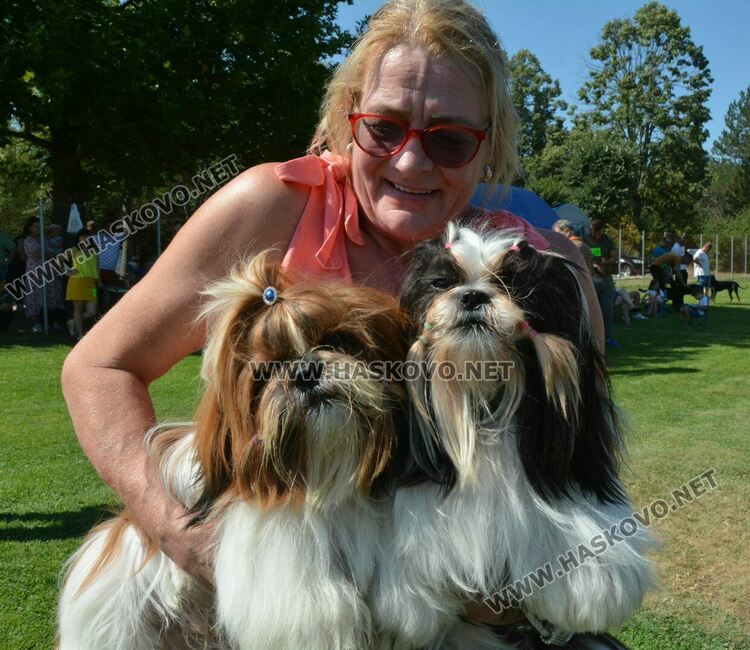 Четириноги красавци от 10 породи на парад в парк „Марица“