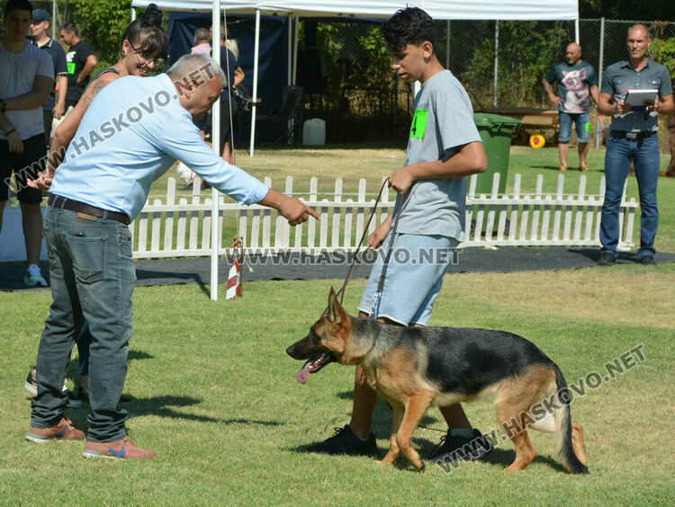 Четириноги красавци от 10 породи на парад в парк „Марица“