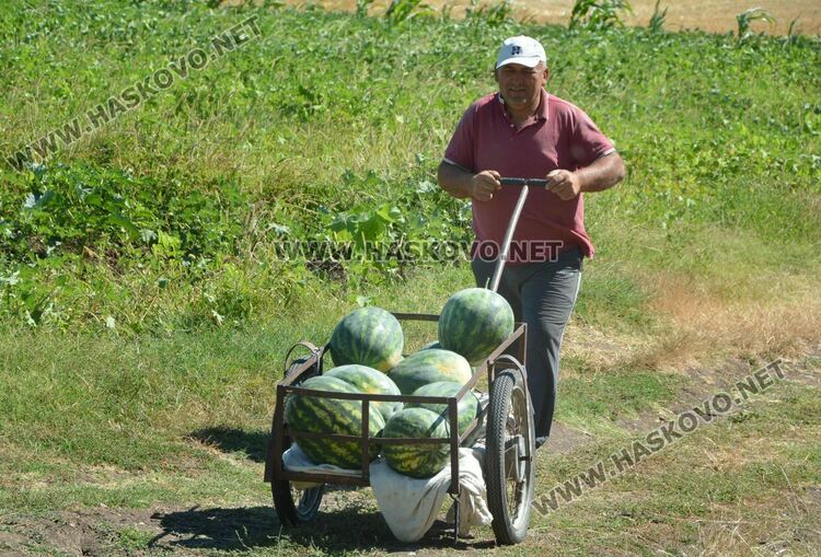 Жалват се от ежедневни проверки на пазара между Хасково и Конуш