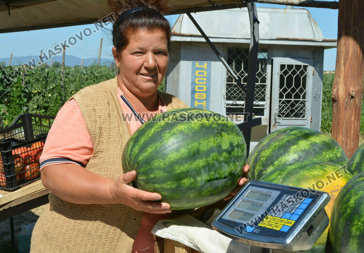 Жалват се от ежедневни проверки на пазара между Хасково и Конуш