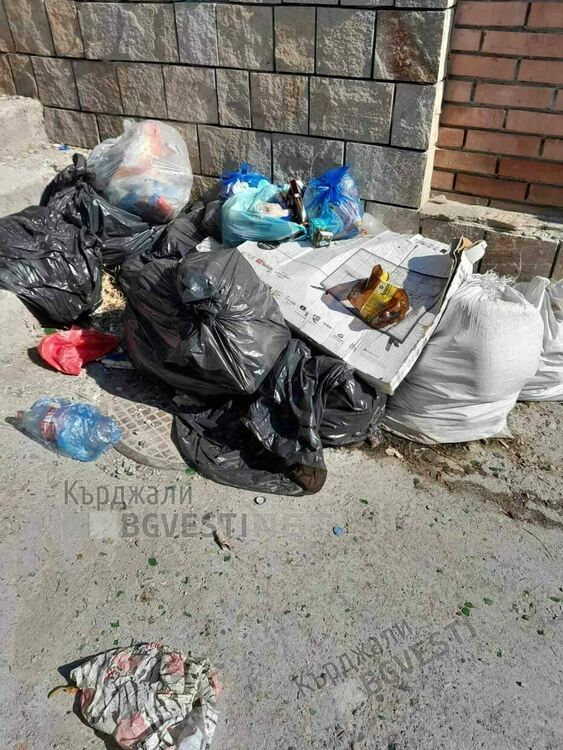 Жителите на Махалата се зариват в собствените си боклуци в жегите,  медици предупреждават за опасност от зарази