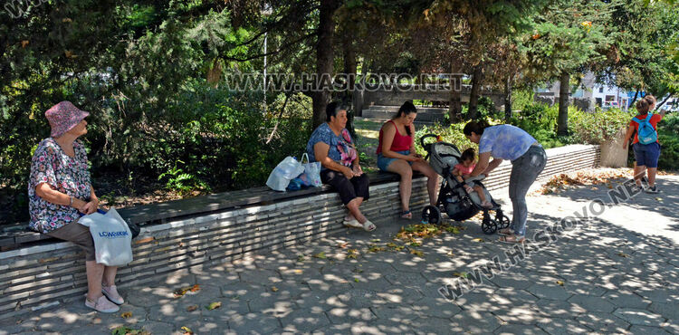 Електробусите пътуват по линиите 1 и 4 от днес /разписание/. Картите на „Златно руно“ няма да важат