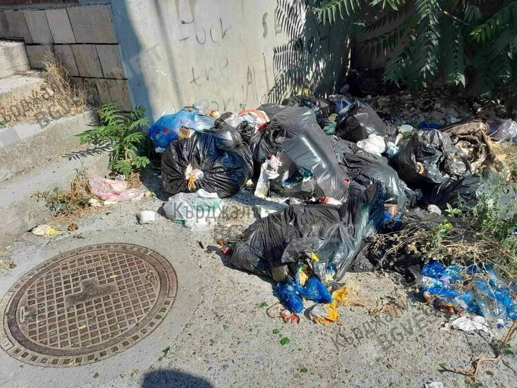 Жителите на Махалата се зариват в собствените си боклуци в жегите,  медици предупреждават за опасност от зарази