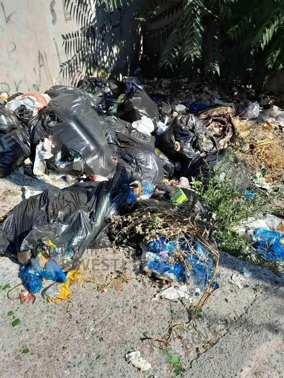 Жителите на Махалата се зариват в собствените си боклуци в жегите,  медици предупреждават за опасност от зарази