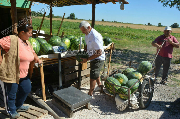 Доставка на дини директно от нивата