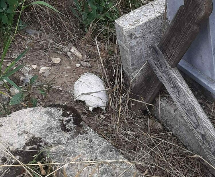 снимка ФБ Катерина Сидерова