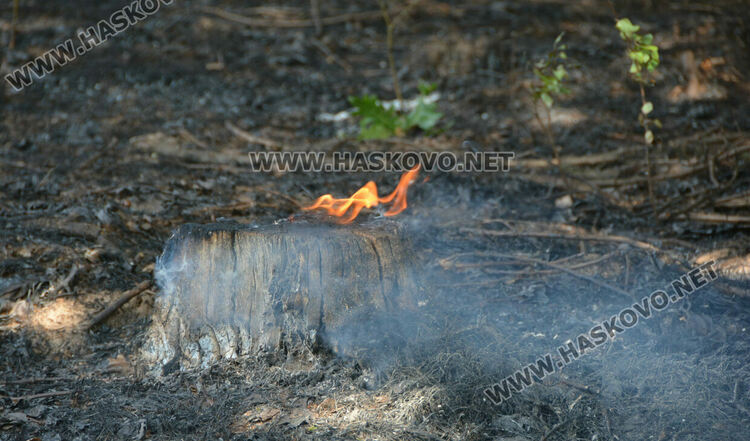 Постройка изгоря край язовир, пожарна се килна по пътя за спасяване