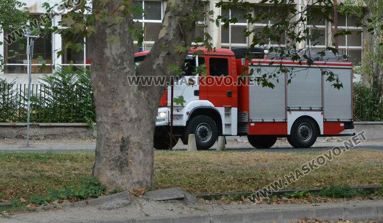 Клон от топола се счупи и падна върху кола в Хасково