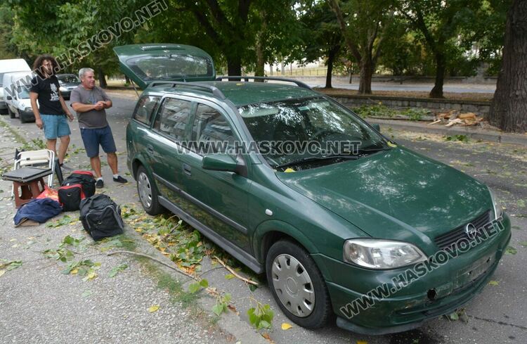 Клон от топола се счупи и падна върху кола в Хасково