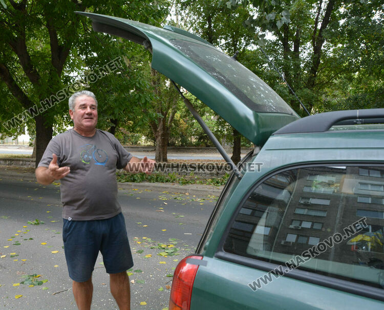 Клон от топола се счупи и падна върху кола в Хасково