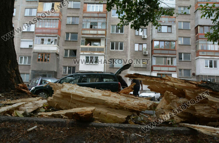 Клон от топола се счупи и падна върху кола в Хасково