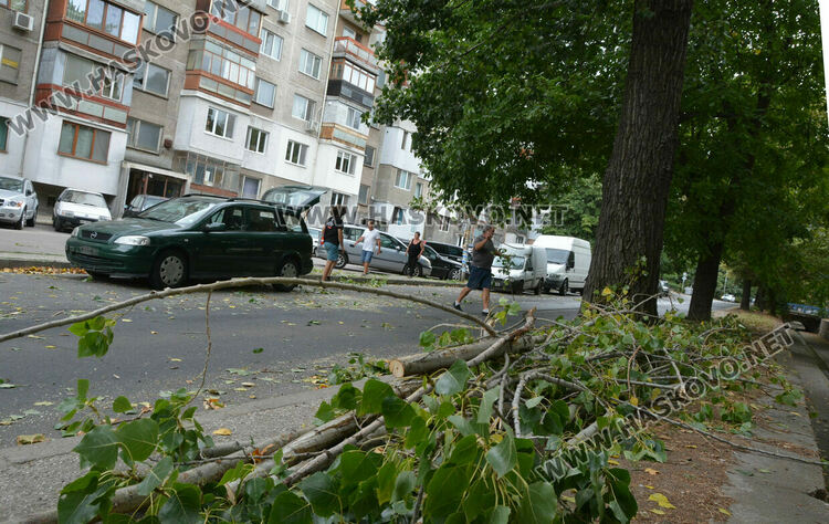 Клон от топола се счупи и падна върху кола в Хасково