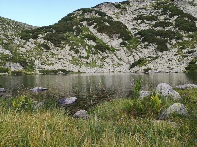 снимка: Илия Илиев